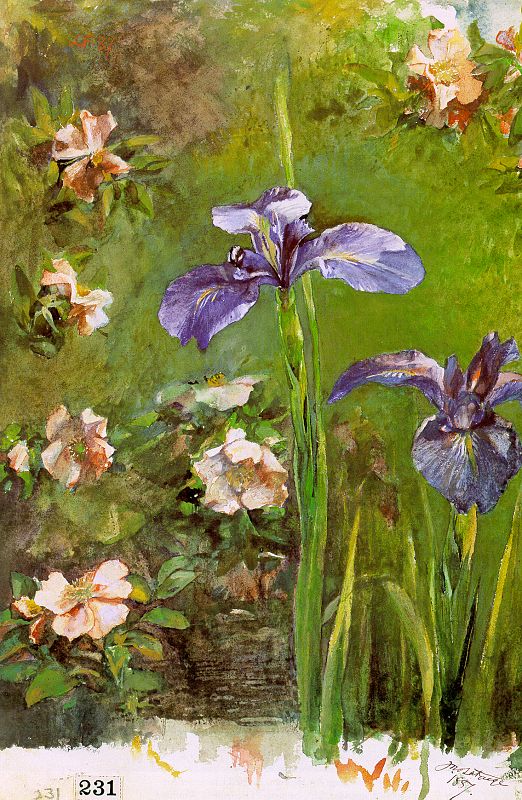 Wild Roses and Irises